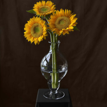 Tom Baril, Three Sunflowers (865), 2007, Color negative digitally printed on archival cotton rag paper, 36 x 30 1/2 inches