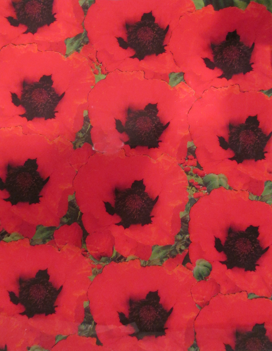 Peter Dayton, Red Poppies, 2003, Xerox collage on canvas with acrylic resin, 16 x 20 inches