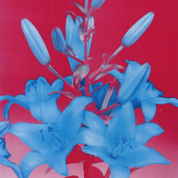 Peter Dayton, Day-Glo Lily, 2004, Xerox collage on canvas with resin, 24 x 18 inches
