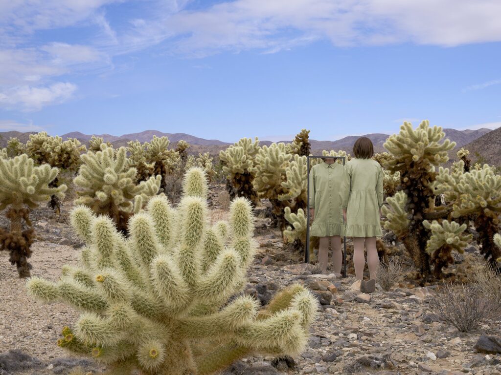 Margeaux Walter, Cholla Garden, 2022, C-print with UV laminate, Available in various sizes