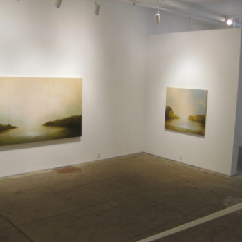 Installation at Winston Wächter Fine Art, 2010