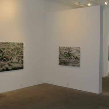 Lost, Installation at Winston Wächter Fine Art, 2013