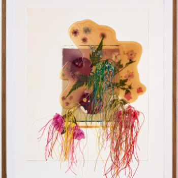 Jil Weinstock, Fruit or Vegetable, 2023, Photographs, rubber, plant life, and thread on BFK Rives paper, 26 x 19 inches