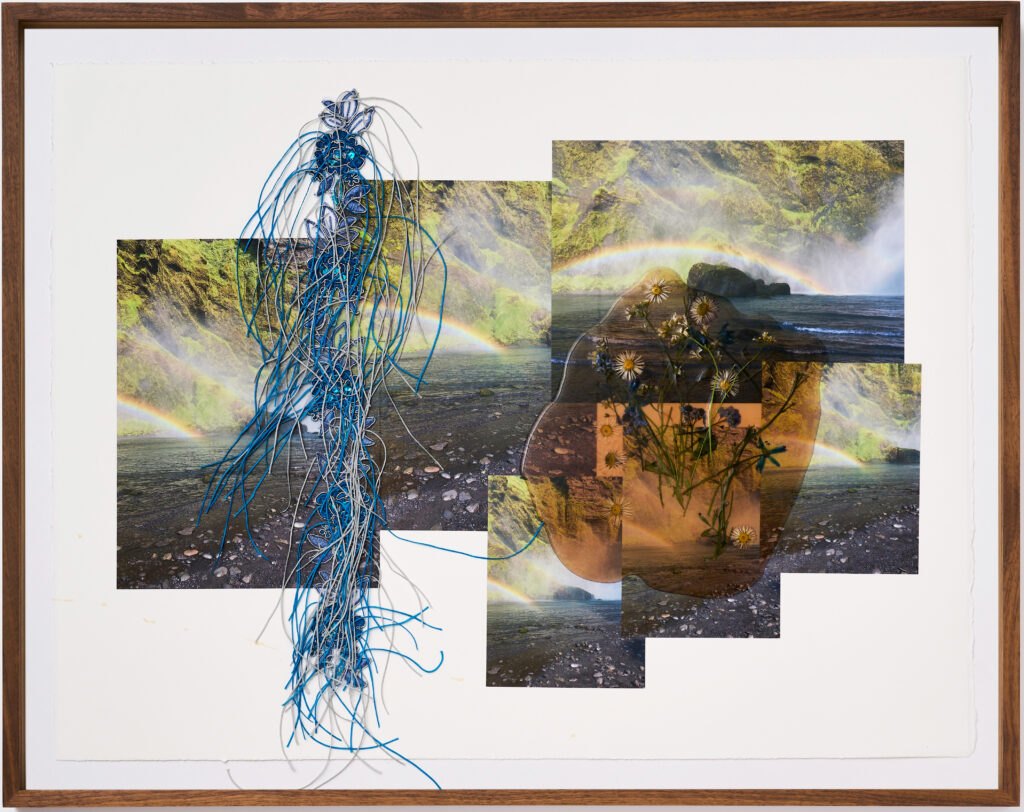 Jil Weinstock, Regnbogar Foss (Rainbows and Waterfalls), 2023, Photographs, rubber, plant life, and thread on BFK, Rives paper, 19 x 26 inches