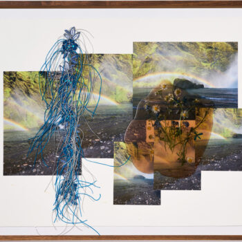 Jil Weinstock, Regnbogar Foss (Rainbows and Waterfalls), 2023, Photographs, rubber, plant life, and thread on BFK, Rives paper, 19 x 26 inches