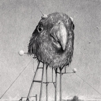 Ethan Murrow, State of Kentucky, 2014, Graphite on paper, 16 x 16 inches