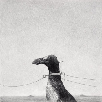 Ethan Murrow, State of Maine, 2014, Graphite on paper, 16 x 16 inches