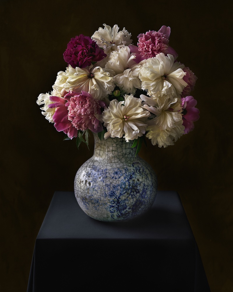 Tom Baril, Peonies, 2007, Color negative digitally printed on archival cotton rag paper, 36 x 30 1/2 inches