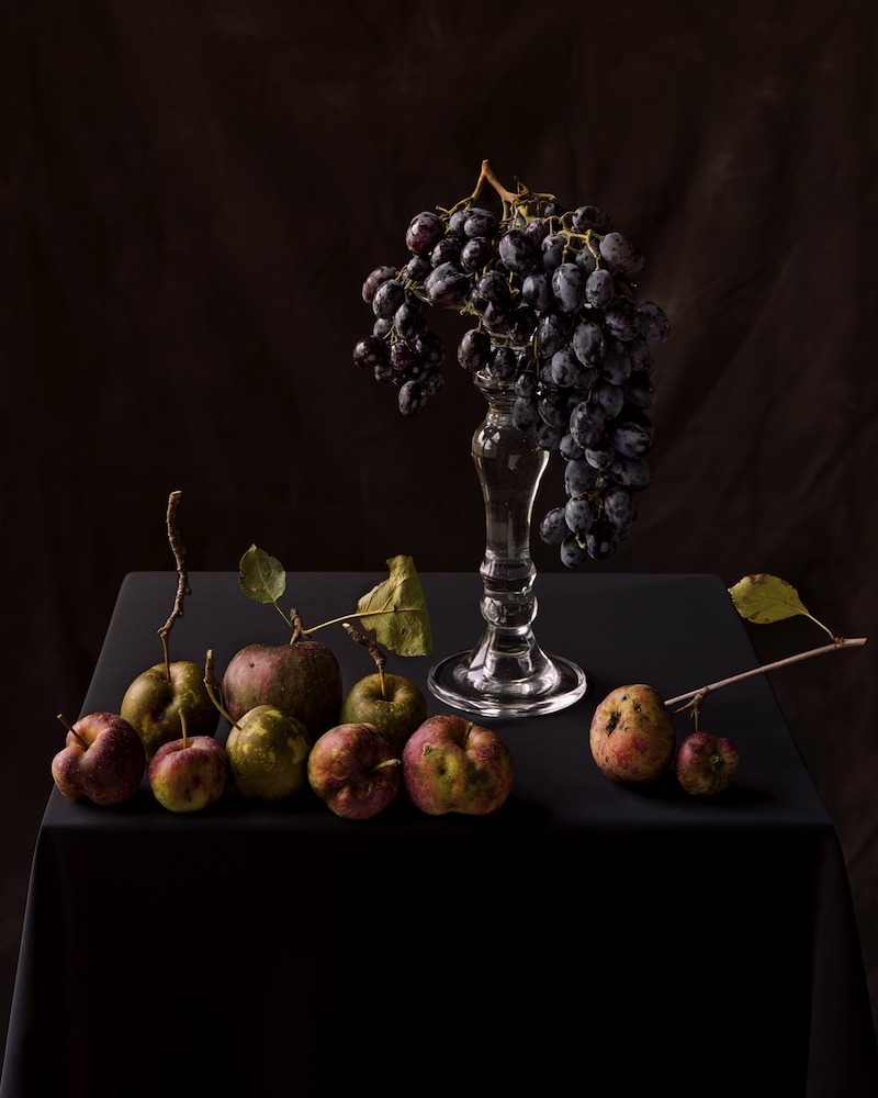 Tom Baril, Apples and Grapes (833), 2006, Color negative digitally printed on archival cotton rag paper, 36 x 30 1/2 and 50 x 40 inches