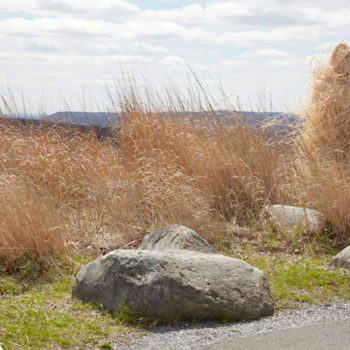 Margeaux Walter, Hey Hay, 2013, Photographic lenticular, 30 x 45 inches