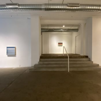 Mid Air, Installation at Winston Wächter Fine Art, 2020