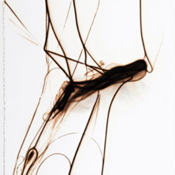 Etsuko Ichikawa, Trace 8811, 2006, Glass pyrograph on paper, 30 x 22.5 inches