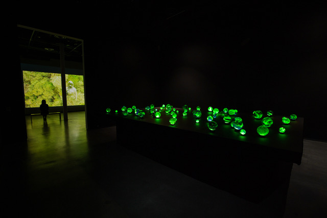 Broken Poems of Fireflies, Jordan Schnitzer Museum of Art, 2021