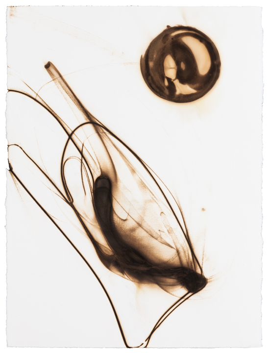 Etsuko Ichikawa, Trace 3114, 2012, Glass pyrograph on paper, 30 x 22 1/2 inches