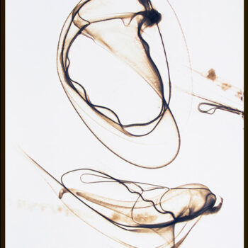 Etsuko Ichikawa, Trace 1797 (Framed), 2007, Glass pyrograph on paper, 60 x 40 inches