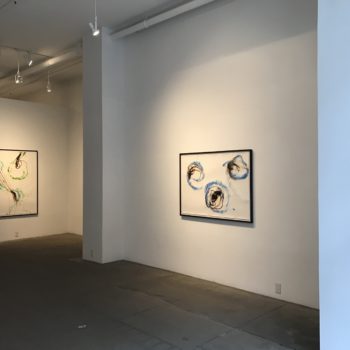 Vitrified, Installation at Winston Wächter Fine Art, 2019