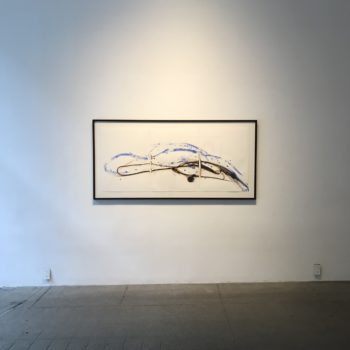 Vitrified, Installation at Winston Wächter Fine Art, 2019