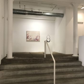 Venn Luminosity, Installation at Winston Wächter Fine Art, 2019