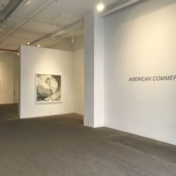 American Commerce, Installation at Winston Wächter Fine Art, 2019