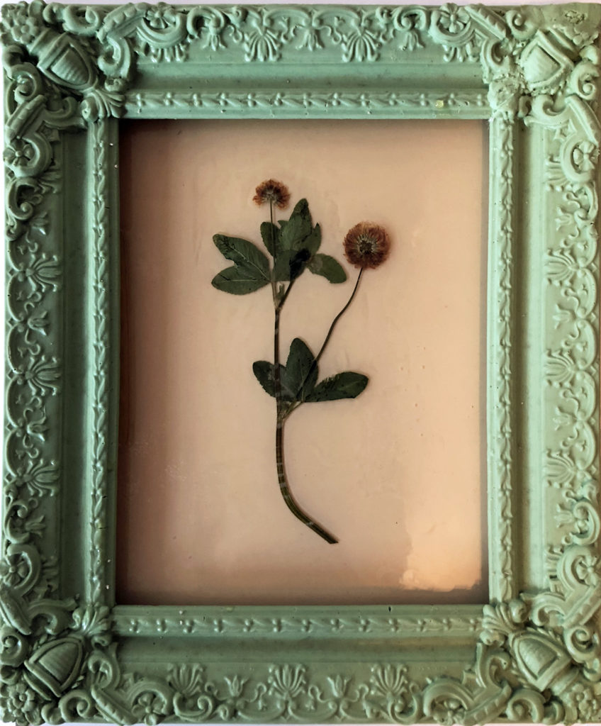 Jil Weinstock, In Viriditas Viridis in Mentham / Weed in Mint Green Frame, 2019, Rubber and plant life, 17 x 12 inches