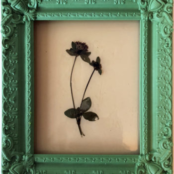 Jil Weinstock, In Viriditas Viridis est in Tenebris / Weed in Dark Green Frame, 2019, Rubber and plant life, 17 x 12 inches