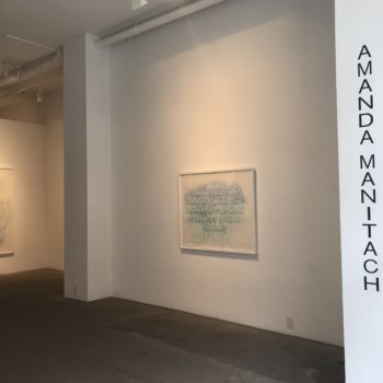 Jil Weinstock and Amanda Manitach, Installation at Winston Wächter Fine Art, 2019