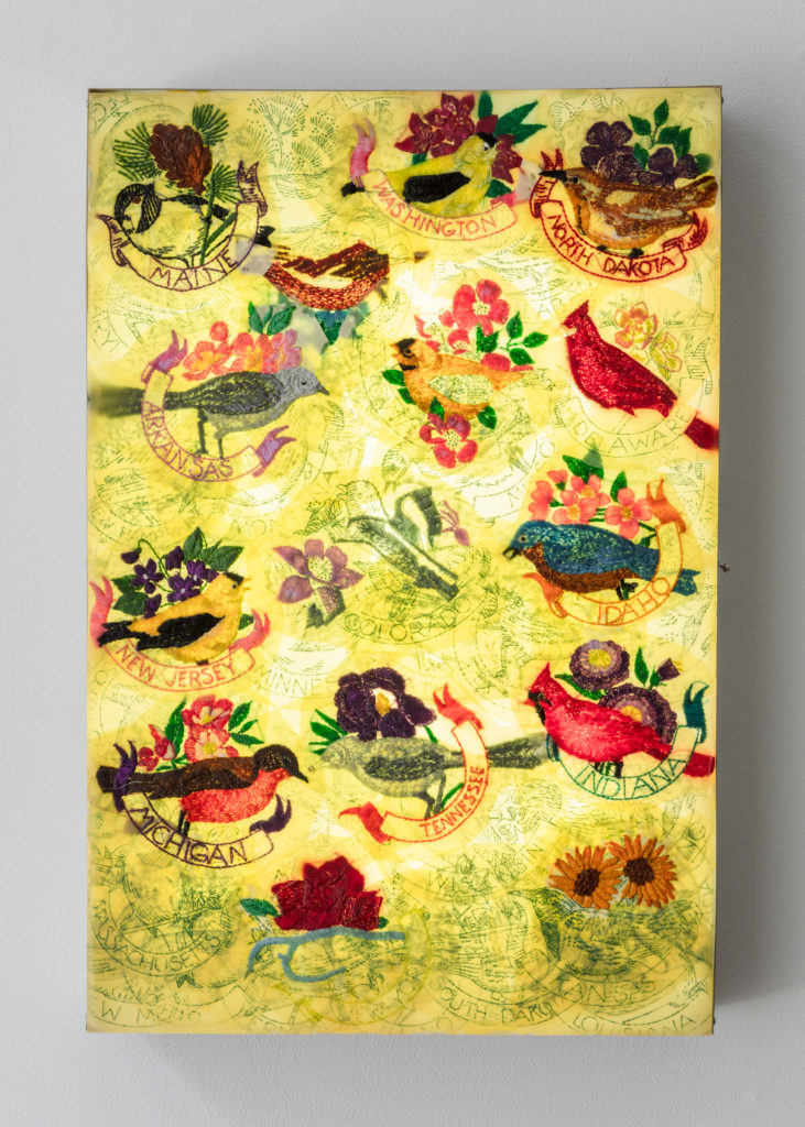 Jil Weinstock, Statu Avium | Flores / State Birds and Flowers, 2019, Rubber, fabric, thread, aluminum and fluorescent light, 24 x 16 inches