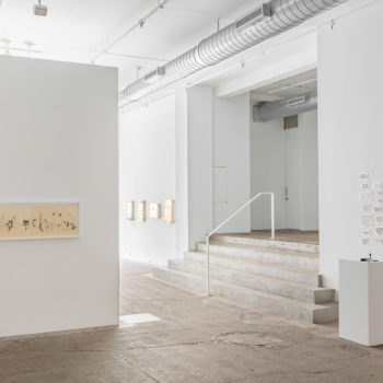 Jil Weinstock and Amanda Manitach, Installation at Winston Wächter Fine Art, 2019