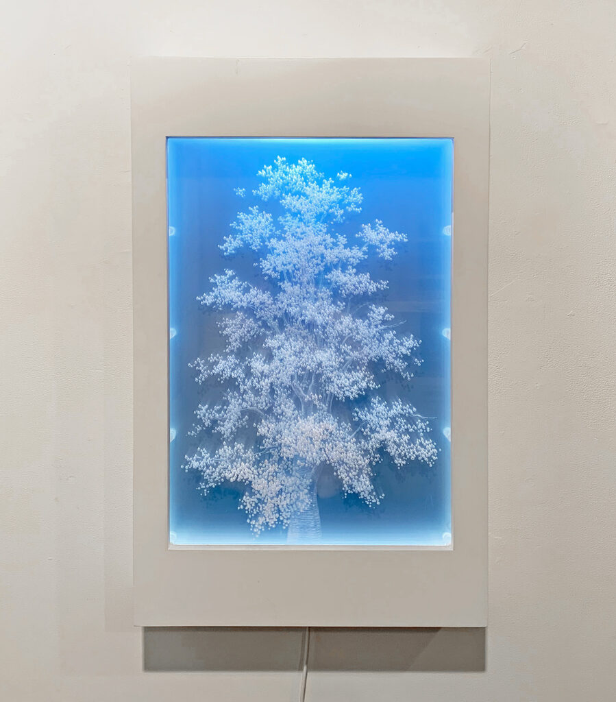Snow Dreaming (#3), 2019 Refracted light; Glass, plexi, LED motion programmed lights 32 x 17 1/2 x 4 1/2 inches