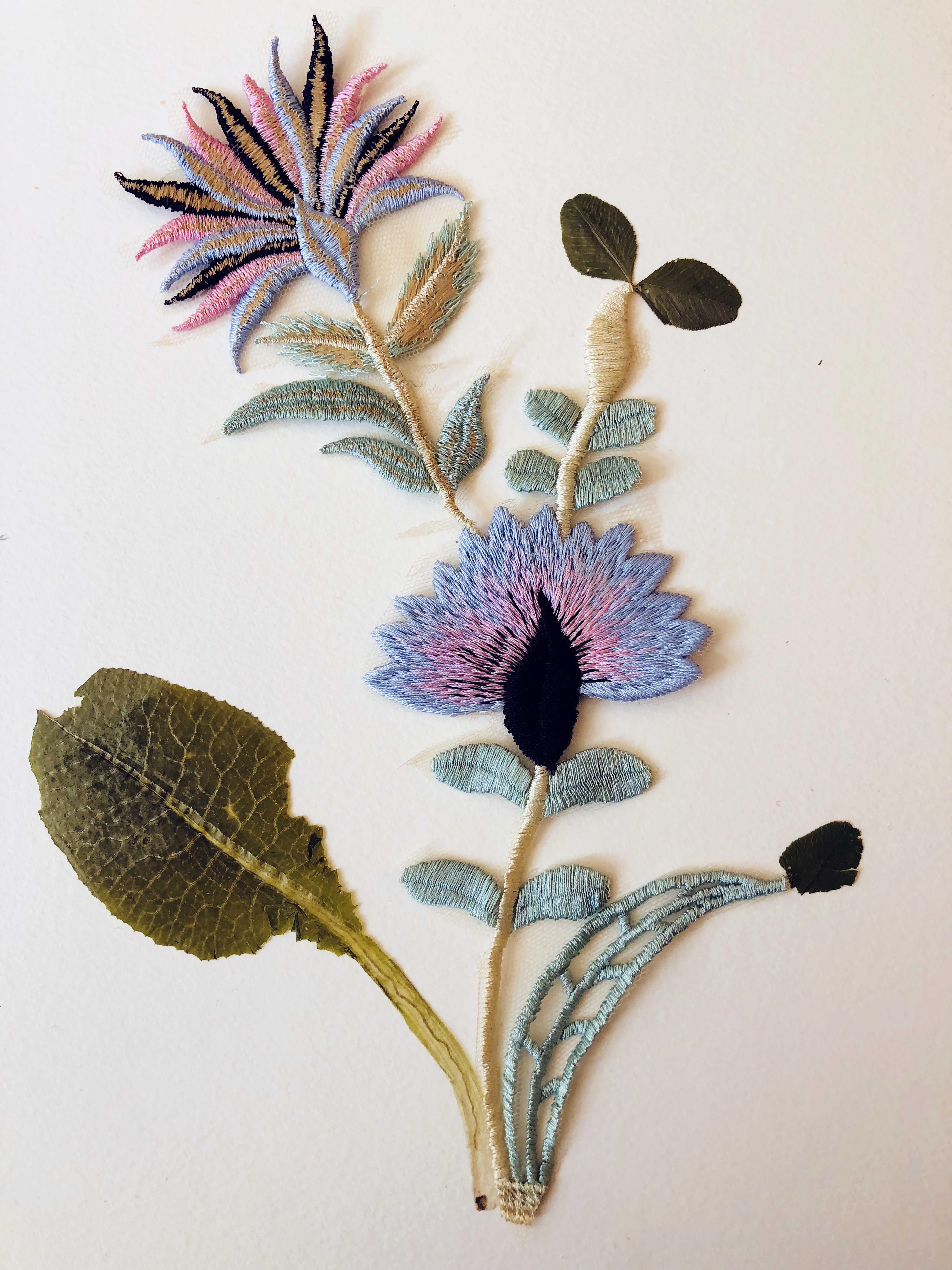 Jil Weinstock, Unwanted Collaborator (black, pink, powder blue, beige and green flower), 2020, Plant life, thread, adhesive and rag paper, 10 x 8 1/2 inches