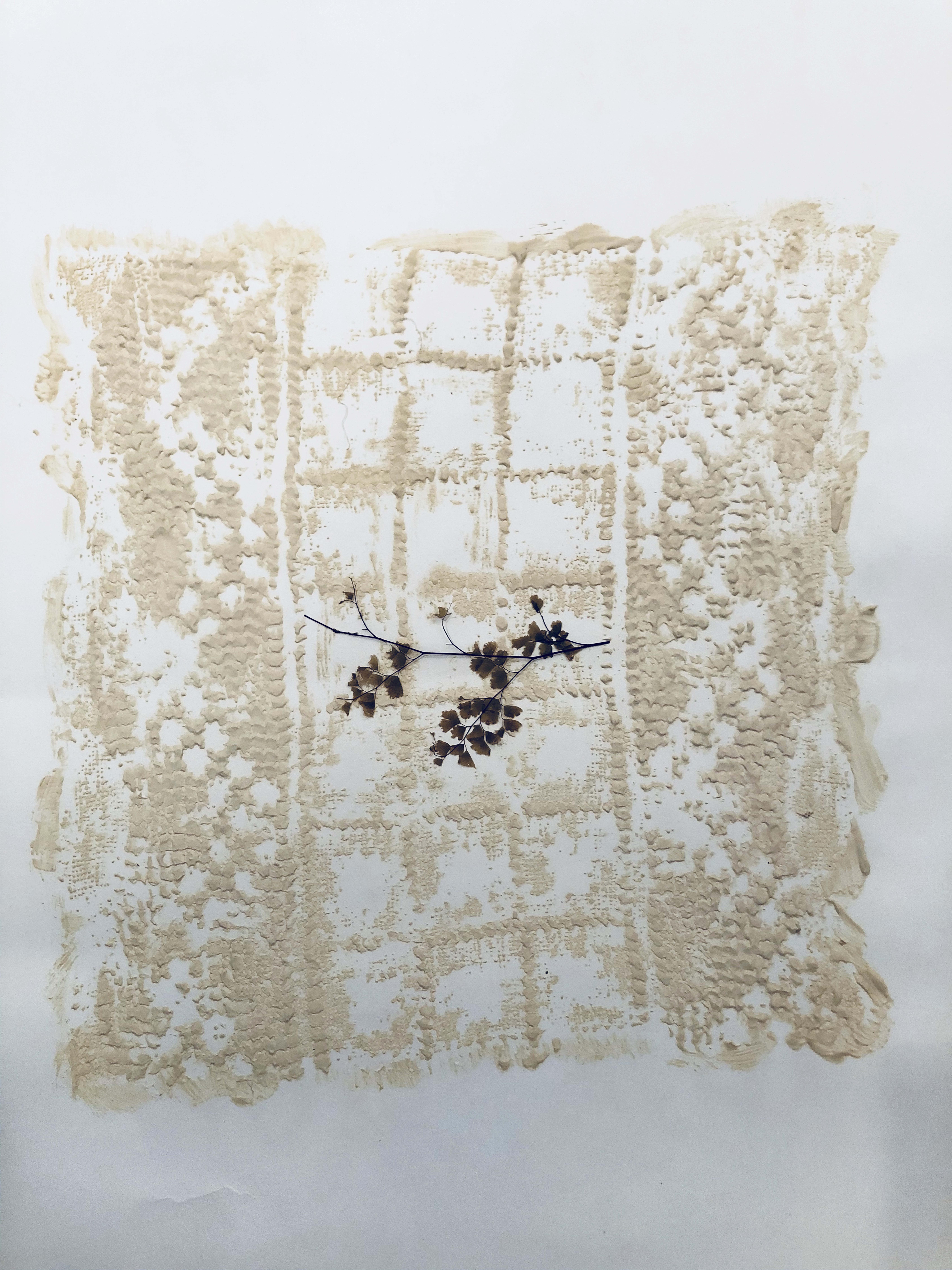 Jil Weinstock, Unwanted Collaborator (white latex and coffee stains), 2020, Plant life, white latex and rag paper, 30 x 22 inches