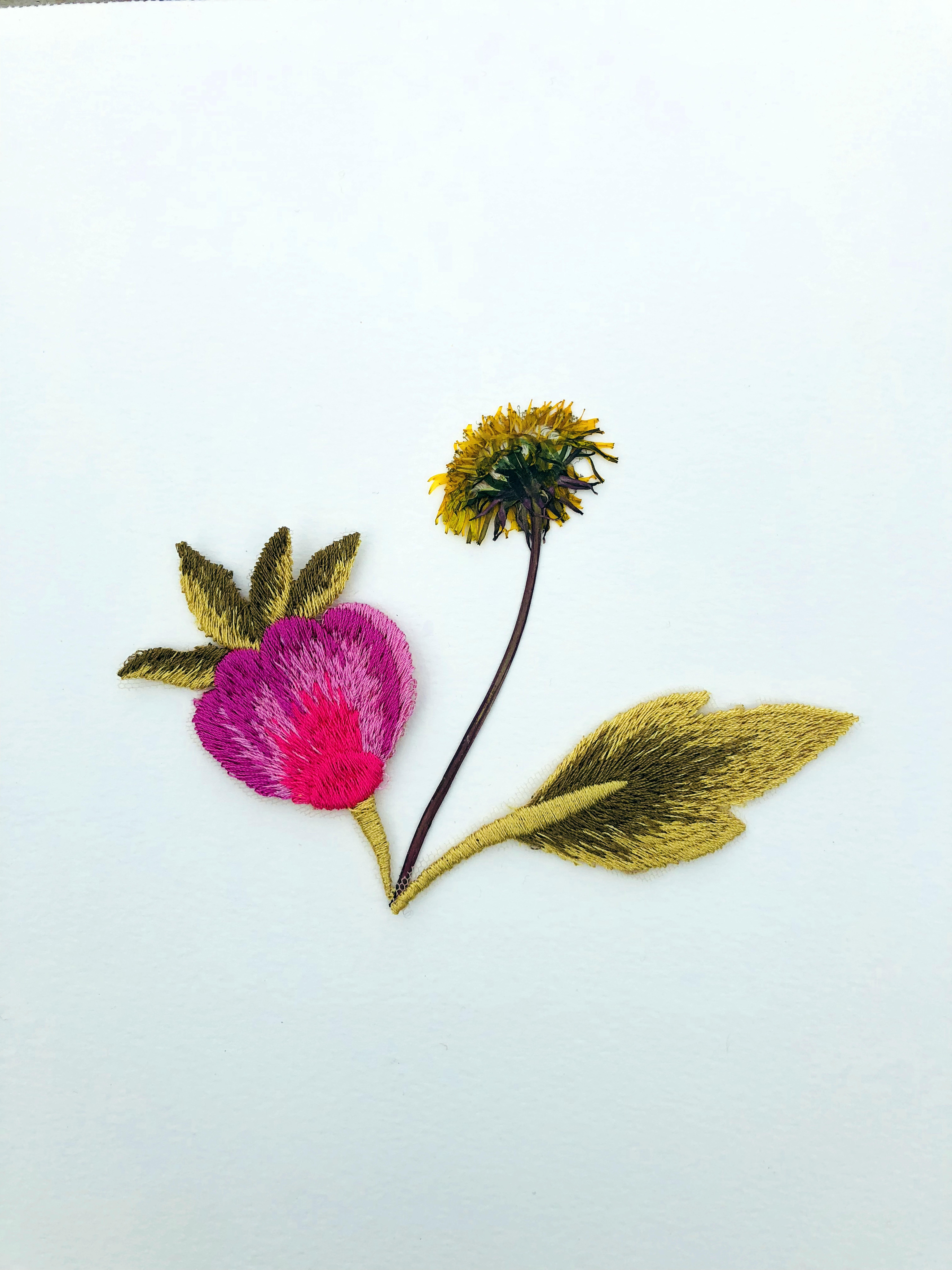 Jil Weinstock, Unwanted Collaborator (bright pinks, red, olive green, army green and yellow flower), 2020, Plant life, thread, adhesive and rag paper, 10 x 8 1/2 inches