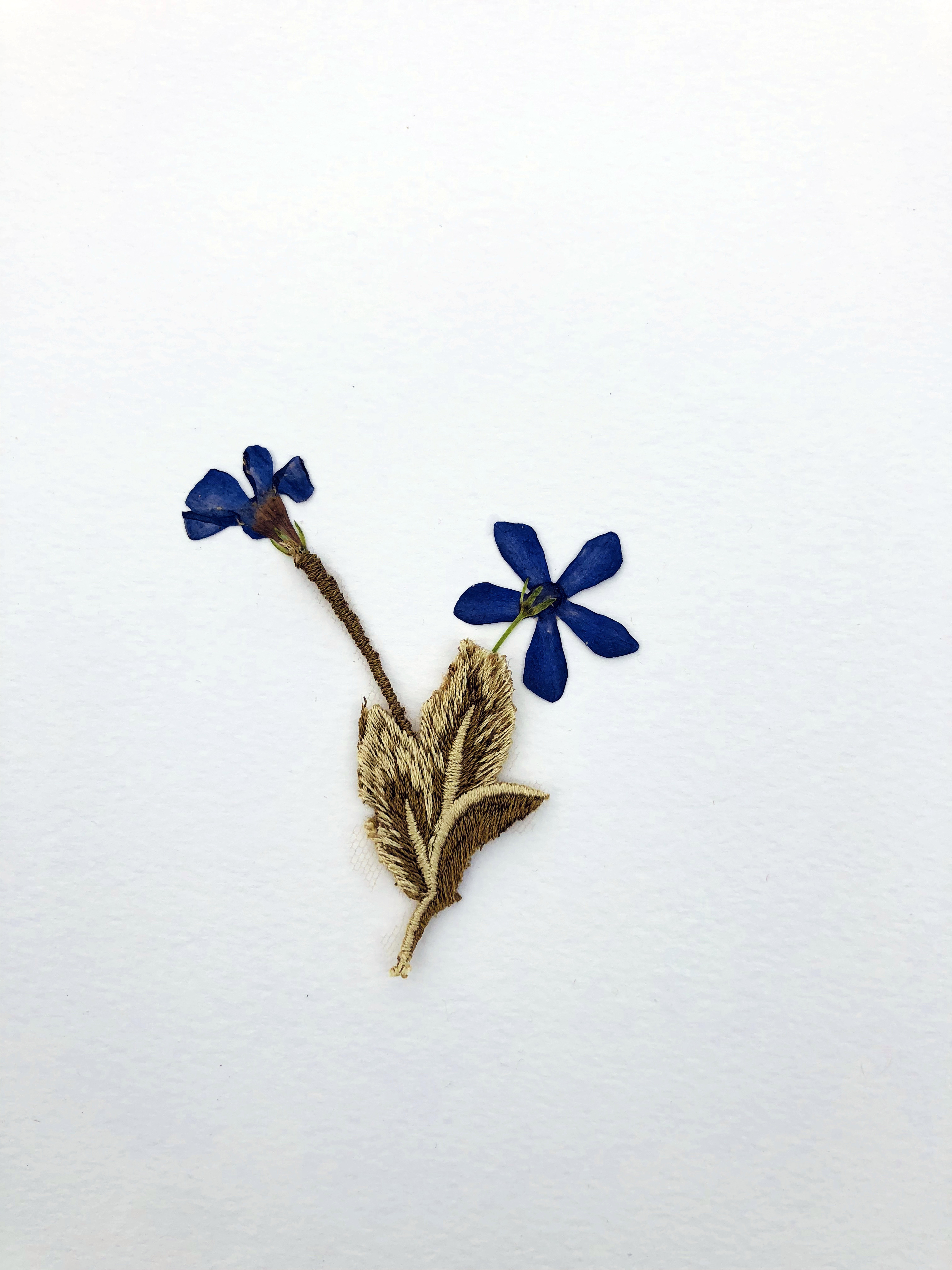 Jil Weinstock, Unwanted Collaborator (beige, brown, army green and blue flower), 2020, Plant life, thread, adhesive and rag paper, 10 x 8 1/2 inches