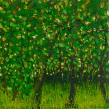 Katherine Bowling | Square Orchard