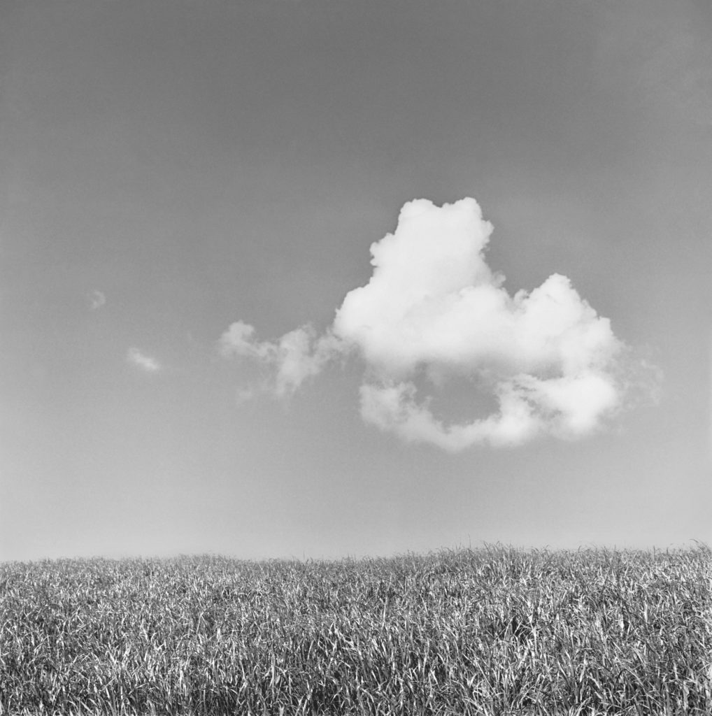 Sally Gall, Tuscan Cloud, 2018, Silver gelatin print, various sizes available