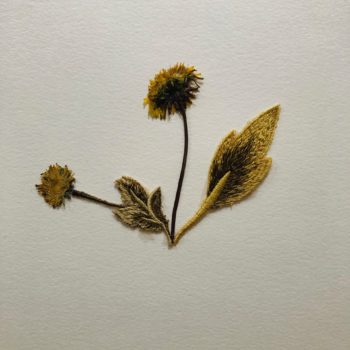 Jil Weinstock, Unwanted Collaborator #3, 2020, Plant life, thread, watercolor paper, 12 x 9 inches