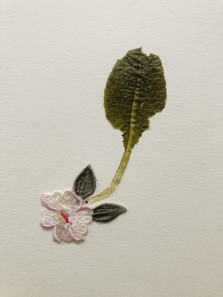 Jil Weinstock, Unwanted Collaborator #4, 2020, Thread, plant life, watercolor paper, 12 x 9 inches