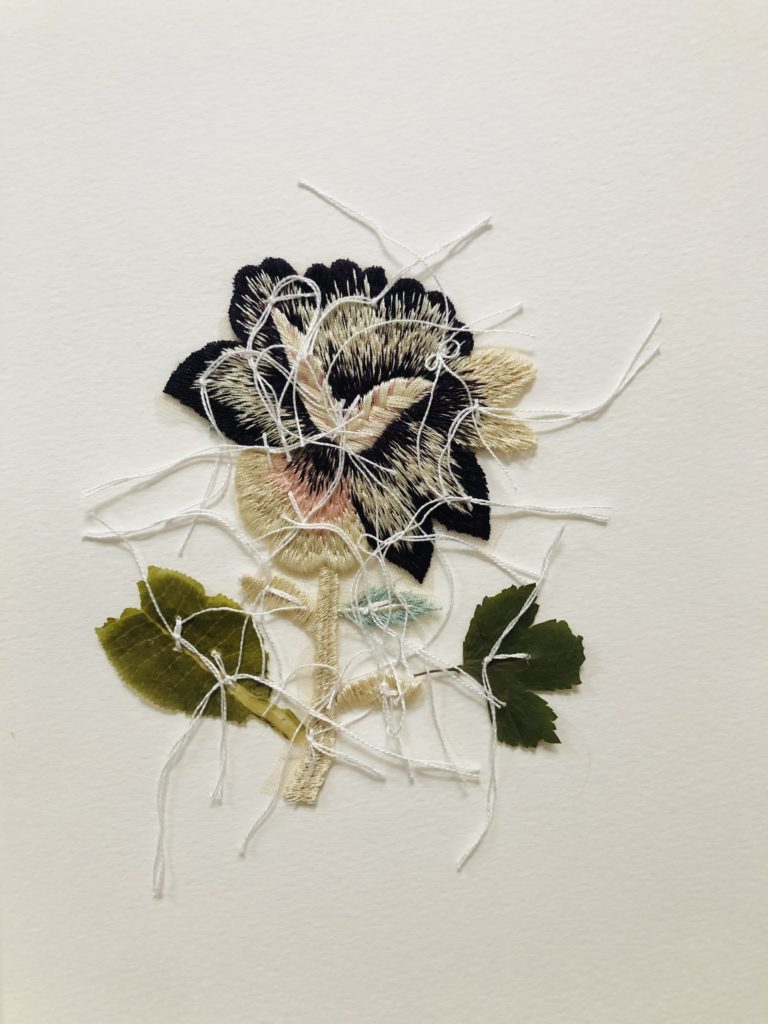 Jil Weinstock, Unwanted Collaborator #6, 2020, Thread, plant life, watercolor paper, 12 x 9 inches