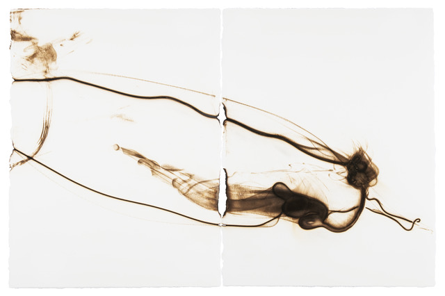 Etsuko Ichikawa, Trace 6818, 2021, Glass pyrograph on paper, 30 x 45 inches