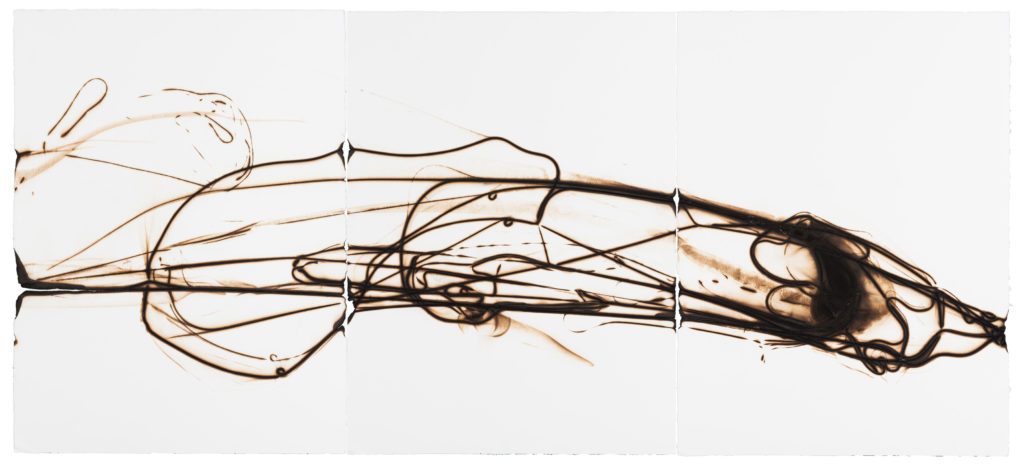 Etsuko Ichikawa, Trace 4514, 2021, Glass pyrograph on paper, 30 x 67½ inches