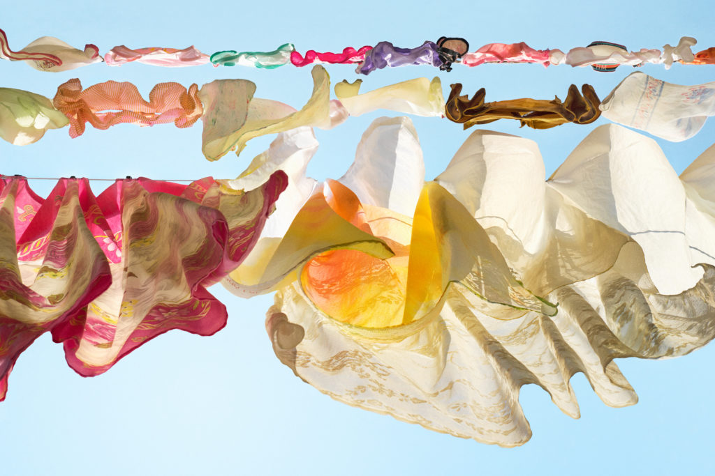 Sally Gall, Fantasia, 2015, Archival pigment print, 33 x 50 inches