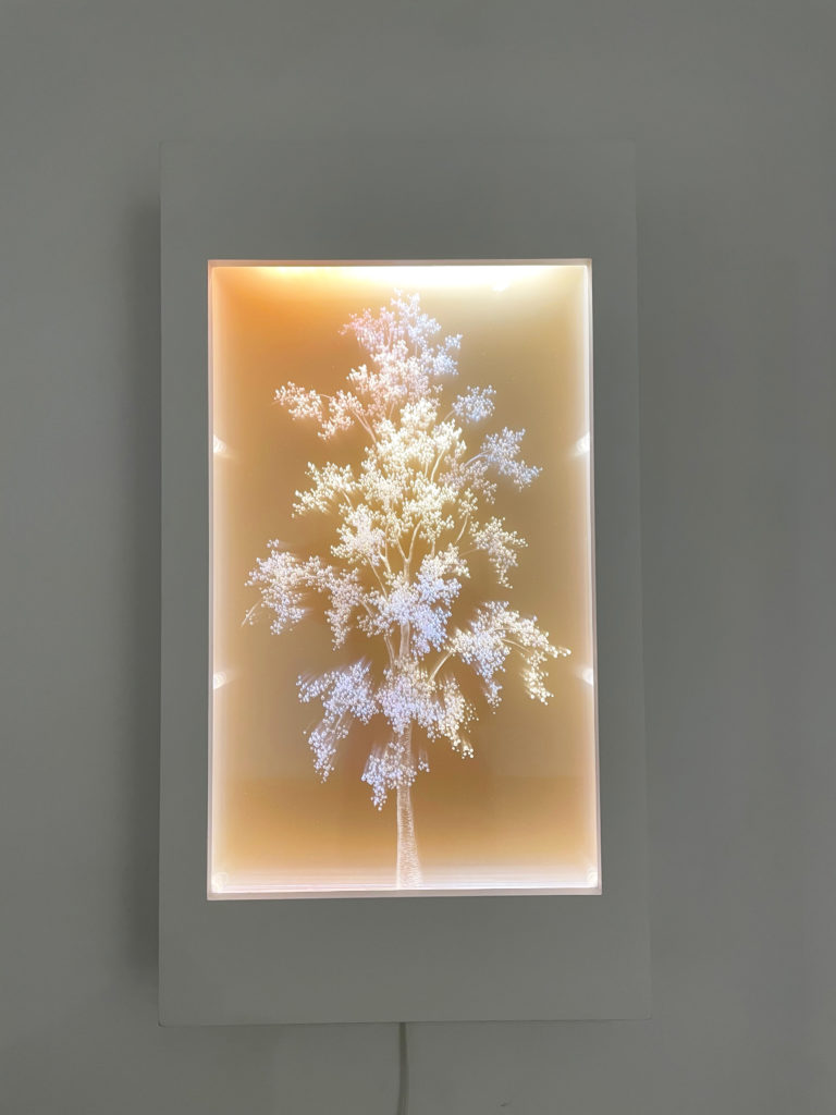Tatyana Murray, Autumn Breeze , 2020, Refracted light, glass, acrylic, motion programmed LED, 31¾ x 17⅜ x 4½ inches