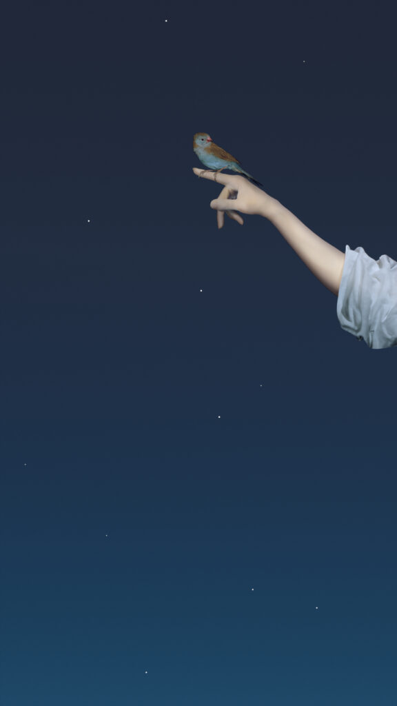 Robert Wilson, Wouter (Cordon Bleu Finch), from the series Hermès by Nature, 2016, Seamlessly looped UHD Video & Audio, 46-55 inch plasma screen