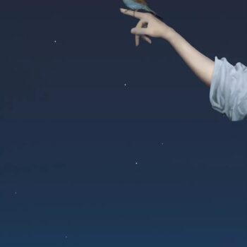 Robert Wilson, Wouter (Cordon Bleu Finch), from the series Hermès by Nature, 2016, Seamlessly looped UHD Video & Audio, 55