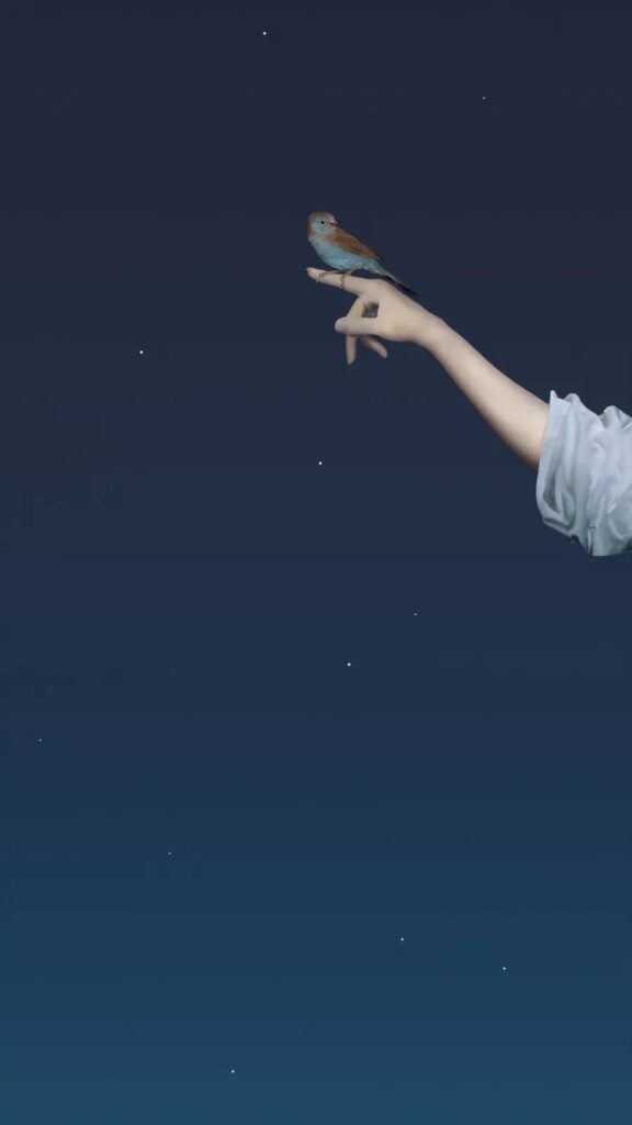 Robert Wilson, Wouter (Cordon Bleu Finch), from the series Hermès by Nature, 2016, Seamlessly looped UHD Video & Audio, 55