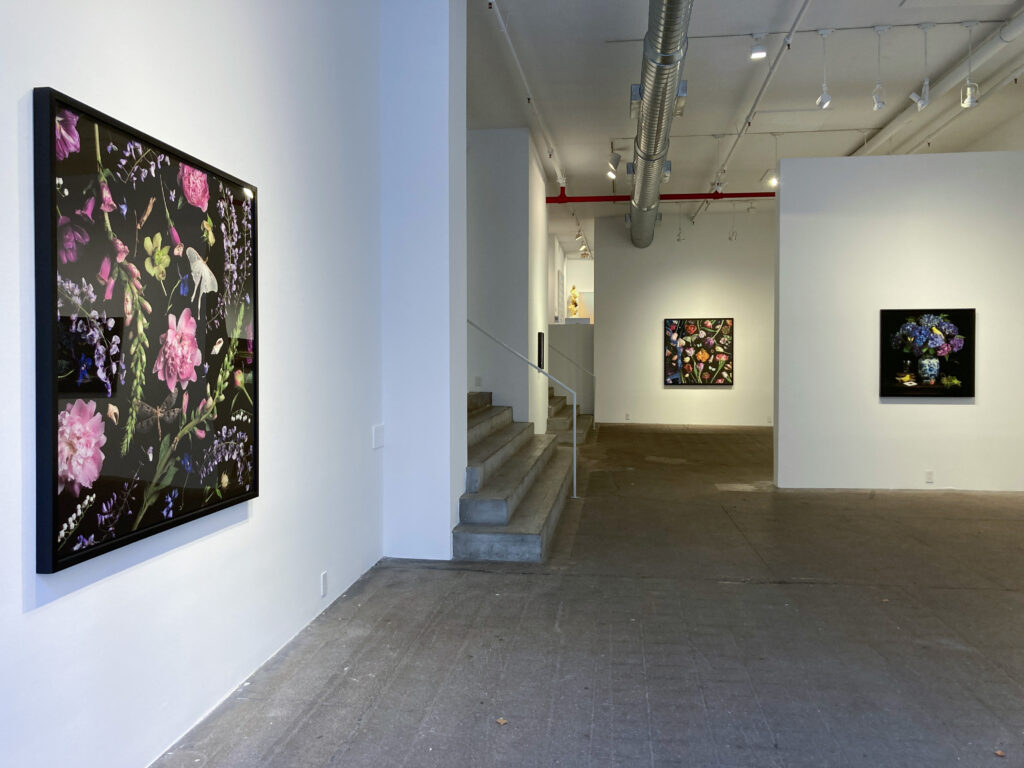 Fiori del Giardino installation at Winston Wachter Fine Art, New York