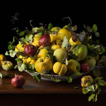 Paulette Tavormina, Orchard Quince, 2020, Archival pigment print, Available in various sizes