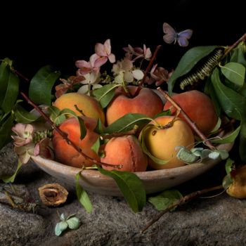 Paulette Tavormina, Peaches and Hydrangeas After GG, 2015, Archival pigment print Available in various sizes