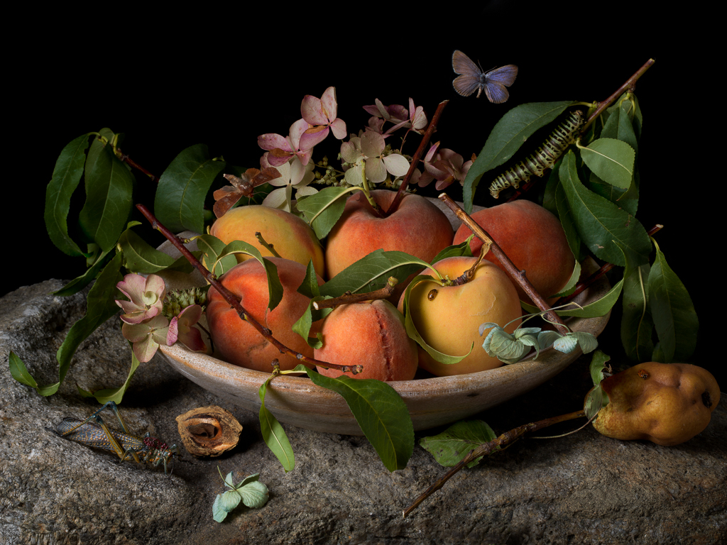 Paulette Tavormina, Peaches and Hydrangeas After GG, 2015, Archival pigment print Available in various sizes