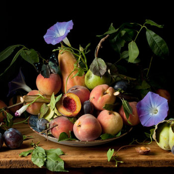 Paulette Tavormina, Peaches and Morning Glories After GG, 2010, Archival pigment print, Available in various sizes